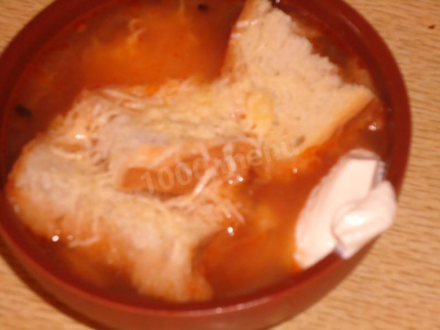 Dutch onion soup