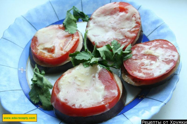Eggplant in the oven with hard cheese, tomatoes and herbs