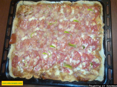 Kefir pizza with chicken in the oven