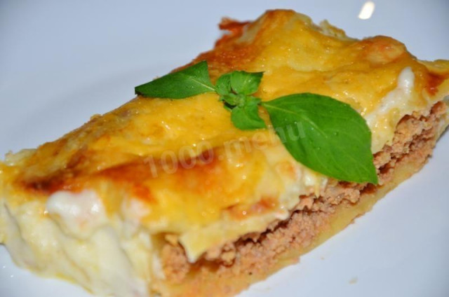 Cannelloni with minced meat, tomatoes and cheese