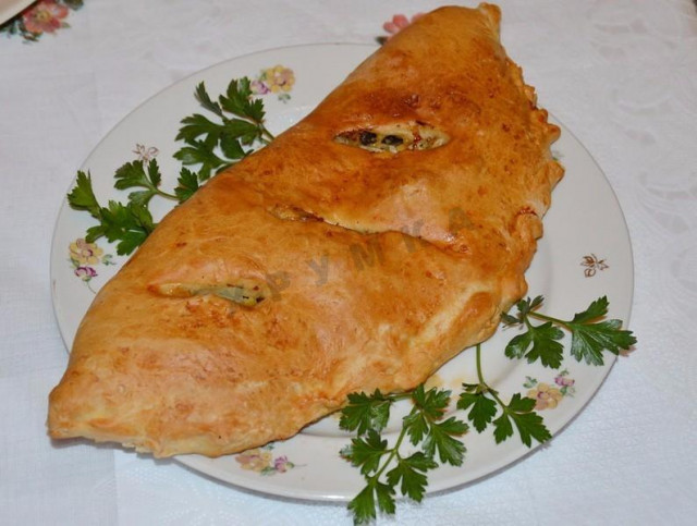 Closed pizza calzone with chicken and mushrooms