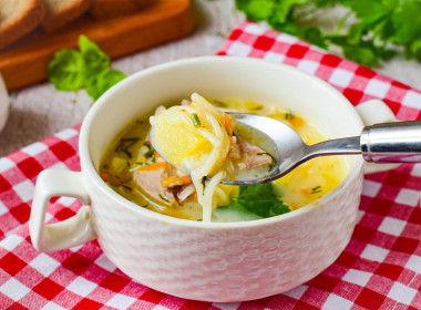 Chicken soup with melted cheese and vermicelli