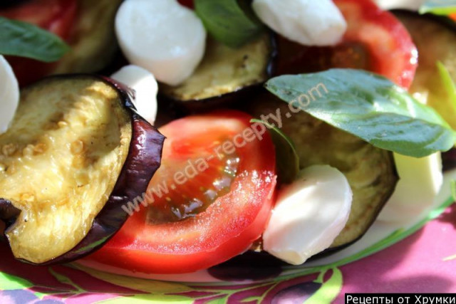 Eggplant and tomato salad with mozzarella is quick and easy