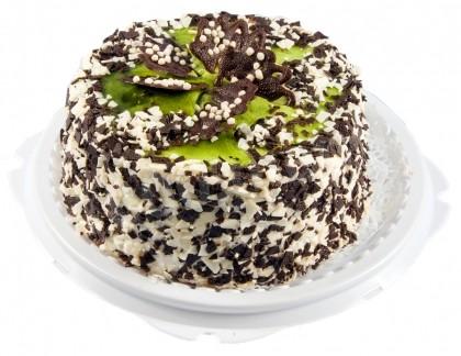 Sponge cake with cottage cheese cream, kiwi and chocolate
