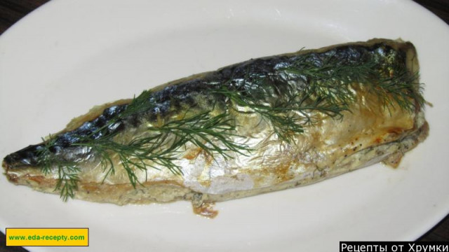 Baked mackerel in Hebrew