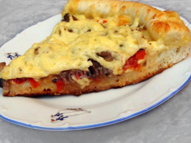 Mushroom pizza with cheese side