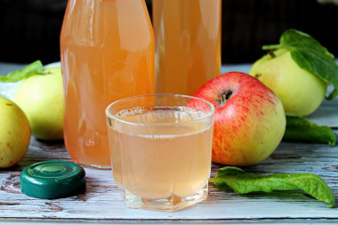 Apple juice in a juicer for winter