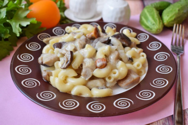 Pasta in sour cream sauce with mushrooms