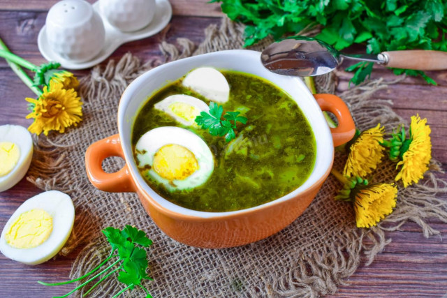 Sorrel soup with meat and egg