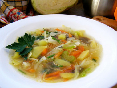 Daily cabbage soup