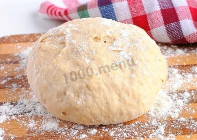 Pizza dough with water and butter in a bread maker