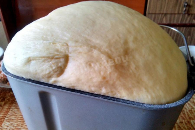 Doughnut dough in a bread maker