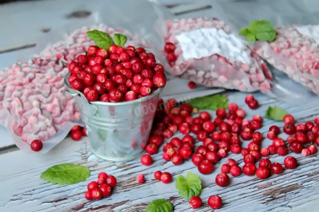 Frozen homemade lingonberries