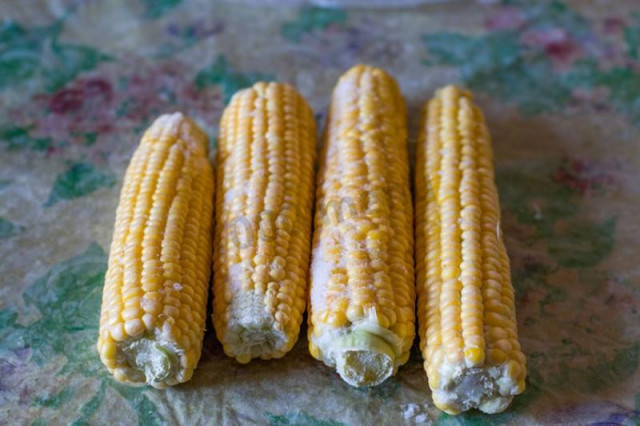 Freezing corn for winter on the cob