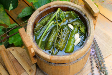 Pickling cucumbers in a barrel for winter in a cold way