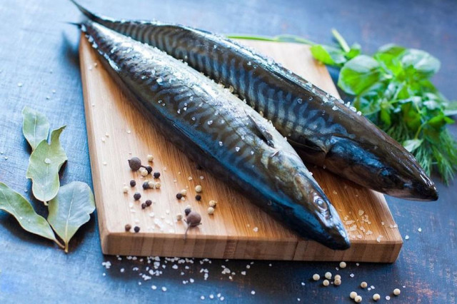 Salting of mackerel for smoking