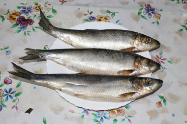 How to salt herring at home is delicious