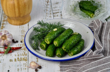 Lightly salted cucumbers in a bag with garlic and dill