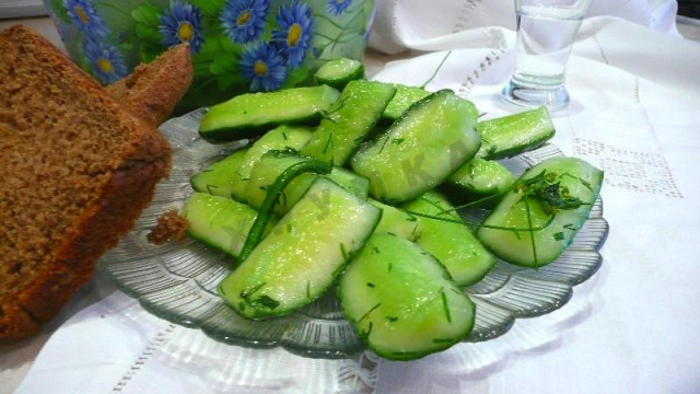 Quick pickled cucumbers in a bag