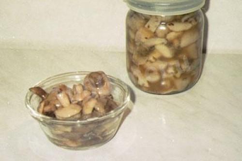 Salting mushrooms at home cold