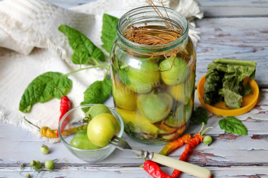 Pickled green tomatoes for winter in jars