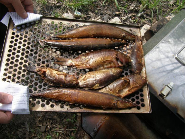 Hot smoked domestic fish