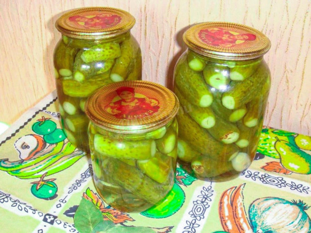 Cucumbers, gherkins pickled for winter