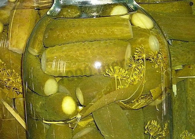 Pickled cucumbers as in the store for the winter