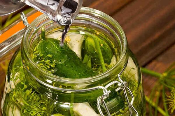 Pickled cucumbers with vodka