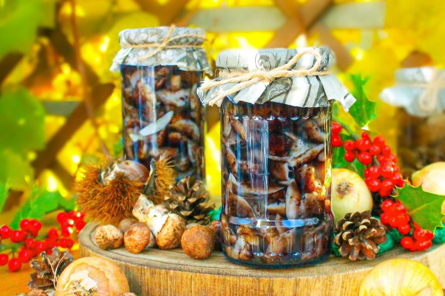 Pickled honey mushrooms for winter in jars