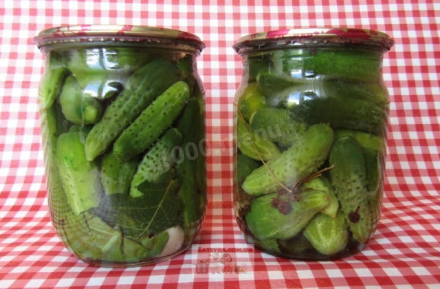 Pickled gherkins with garlic and horseradish