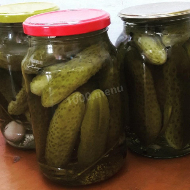 Pickled cucumbers in jars with cloves