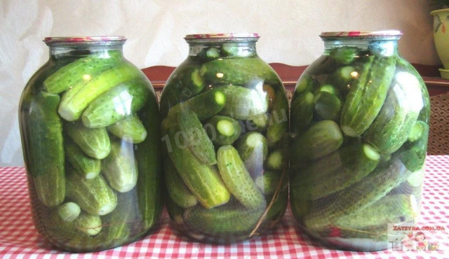 Pickled crispy cucumbers in jars