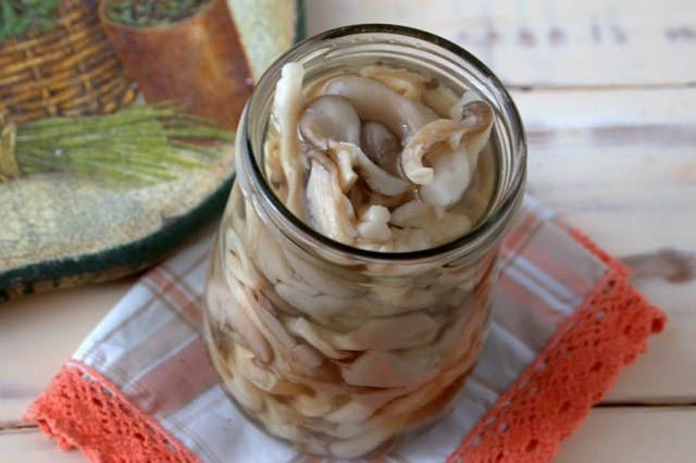 Pickled oyster mushrooms for winter