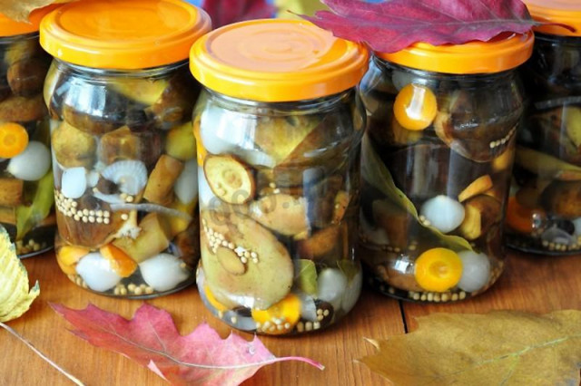 Pickled mosses with onion and mustard marinade for winter
