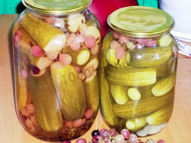 Pickled cucumbers with gooseberries crispy for winter