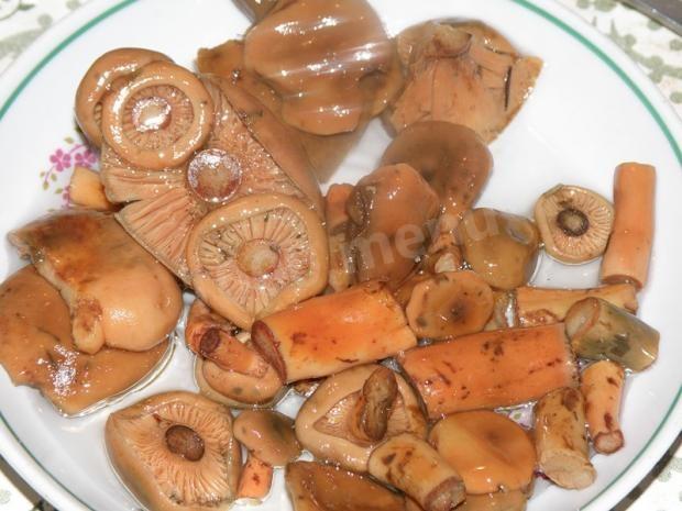 Ginger mushrooms pickled for winter