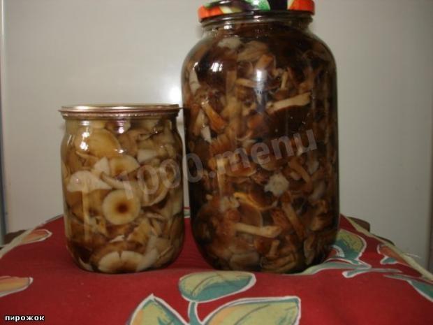 Pickled honey mushrooms in Belarusian
