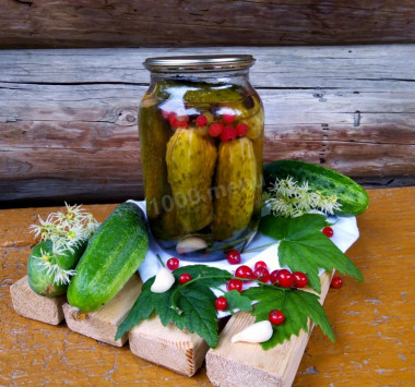 Cucumbers with red currants for winter