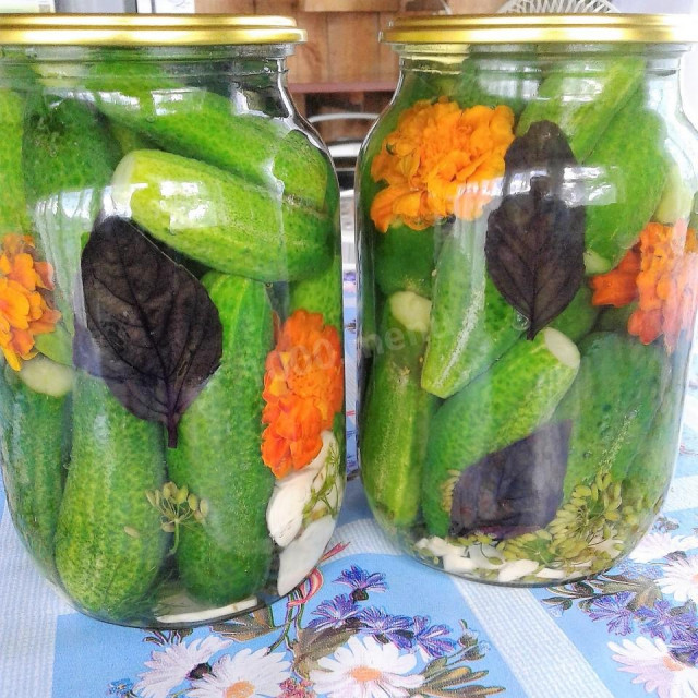 Canned cucumbers with basil and marigold flowers