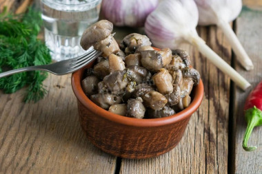 Champignons for winter in jars