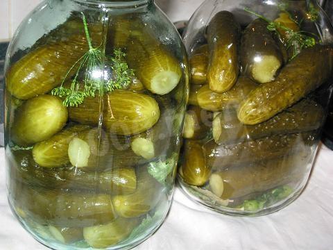 Canned cucumbers harvesting for winter