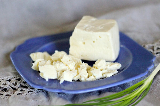Homemade cheese made from cottage cheese