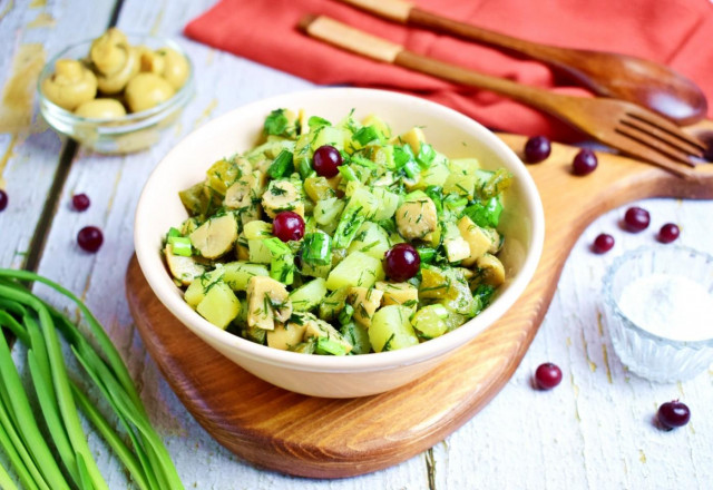 Classic rustic salad with mushrooms