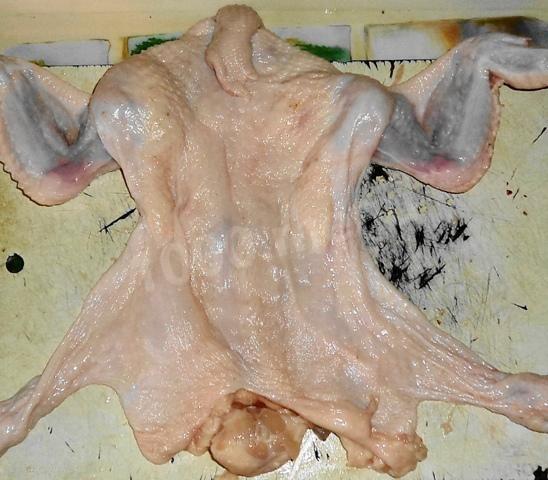 How to skin a stuffed chicken