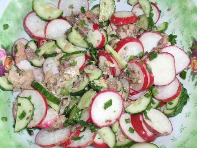 Salad of fresh cucumbers and radishes with boiled sardines
