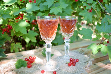 Homemade berry wine from berries