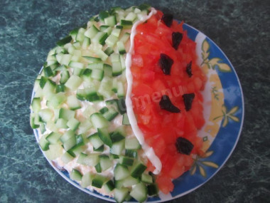 Watermelon slice salad with chicken