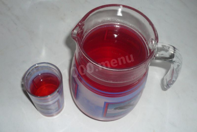 Lingonberry juice with mint