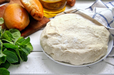 Quick yeast dough